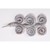 RAMS HORN 6"-8"  White Wash 